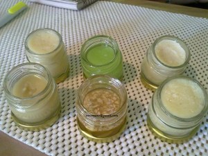 734251_542907519060455_861765835_n