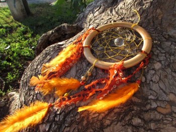 10580659_765367370224050_2420032899954843216_o