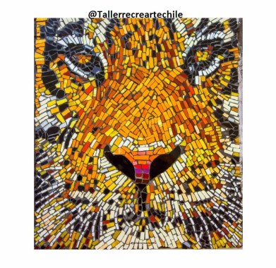 51518501_2033379886782650_5826822370584690688_n