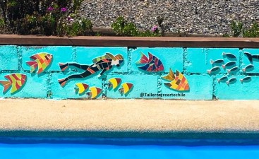 51927932_2045173335603305_4479858207799377920_o