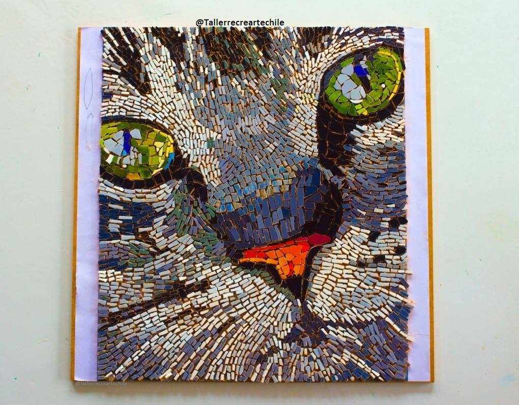 55744604_2105358092918162_8377957215545327616_o